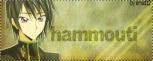   hammouti