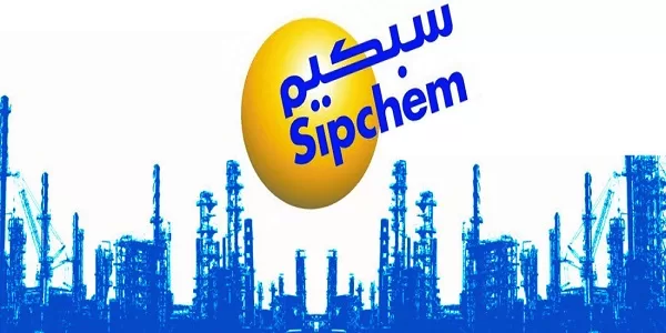 الاستثمار في سهم سبكيم