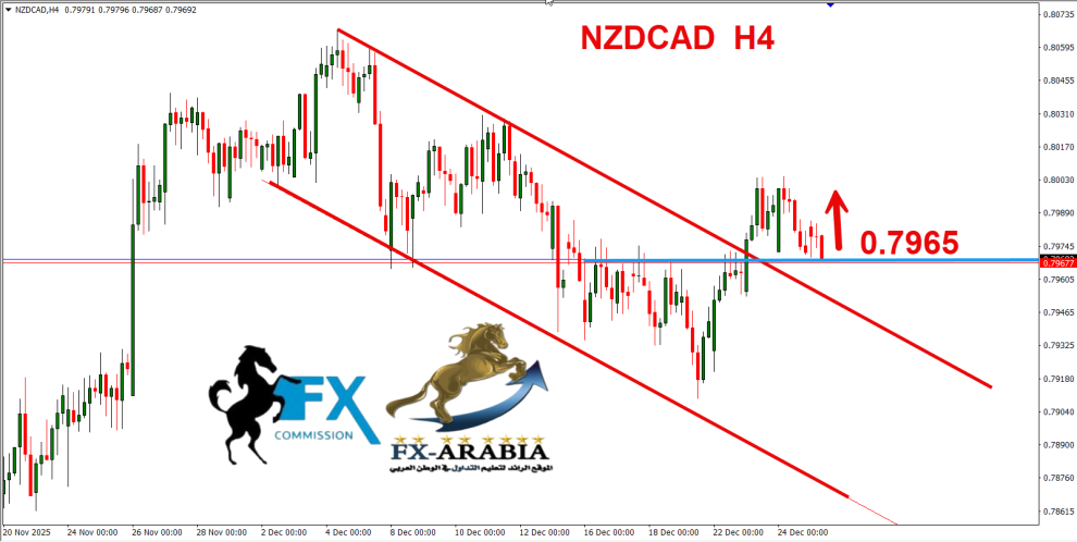 النيوزلندي كندي