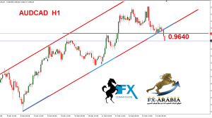 الاسترالي كندي