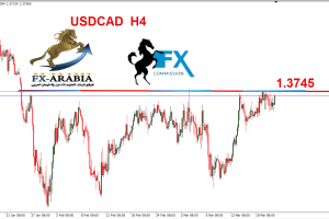 الدولار كندي