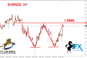 يورو نيوزلندي