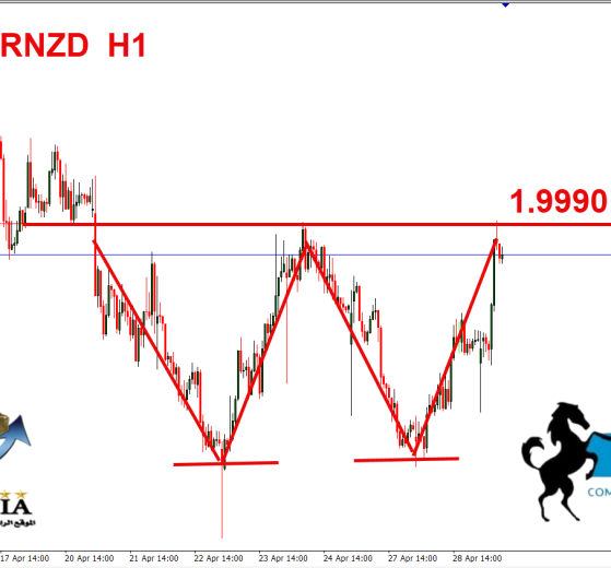 يورو نيوزلندي